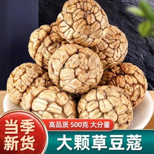 新货草蔻草寇仁草豆蔻老寇草扣大草寇炖肉煮卤料可粉香料调料大全