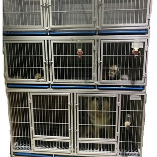 金奥狗狗笼子大型犬中型犬小型犬寄养繁殖笼具宠物店医院一二三层