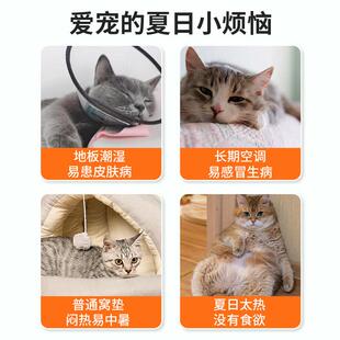 宠物冰垫狗狗冰窝凉席夏天睡垫地垫猫咪夏季睡觉降温凉垫狗窝垫子