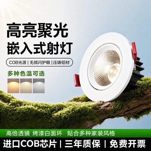 COB射灯嵌入式孔灯洞灯