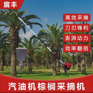 棕榈修剪机汽油棕榈采摘机二冲程大功率高枝摘果机汽油铲刀镰刀