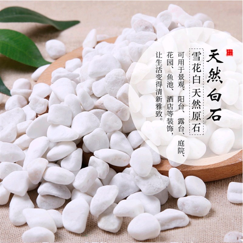 五斤小白石子铺路鹅卵石原石天然多肉铺面园艺造景花盆白石头包邮
