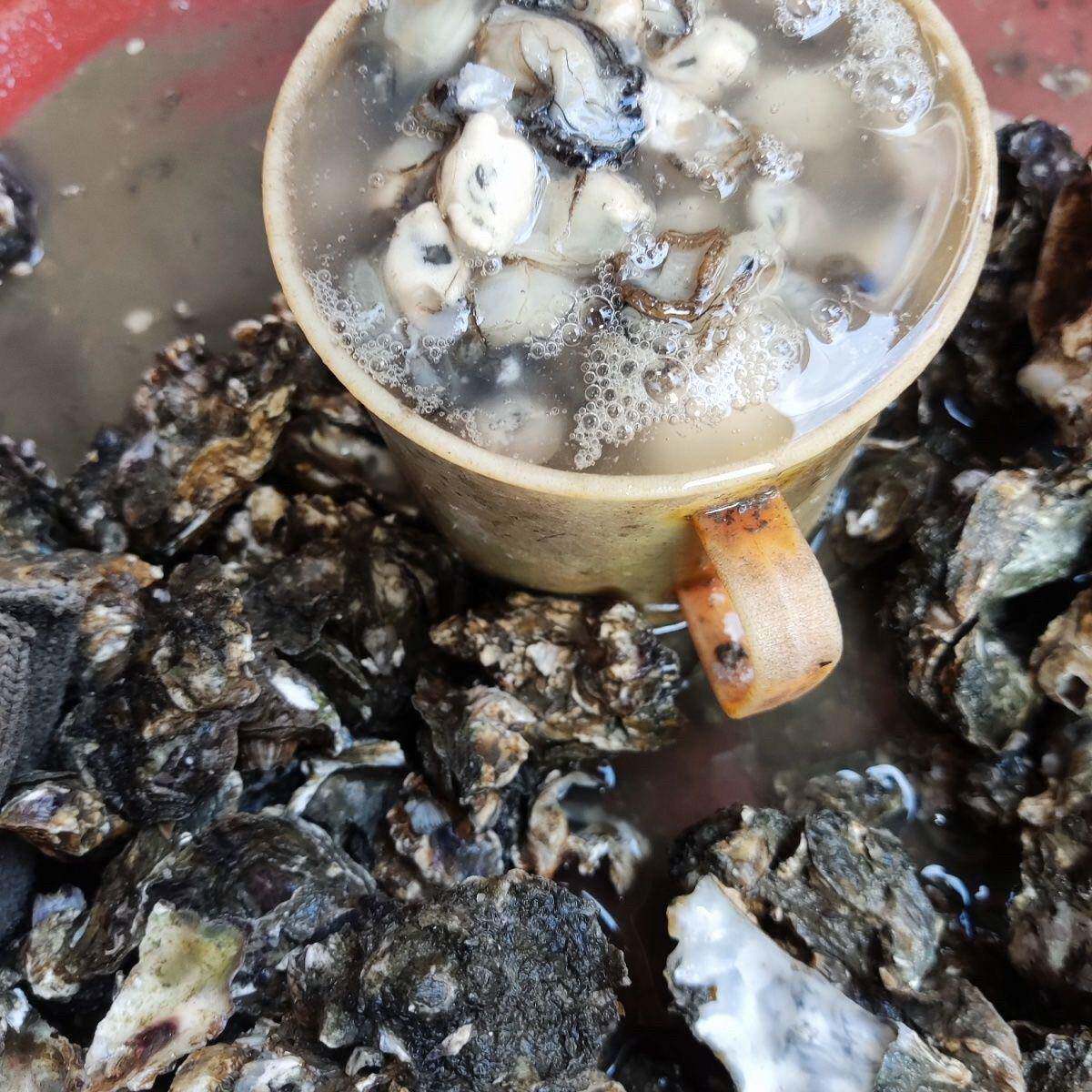 福建海鲜莆田海鲜小海蛎鲜活现剥去壳无泡水牡蛎肉2斤包邮