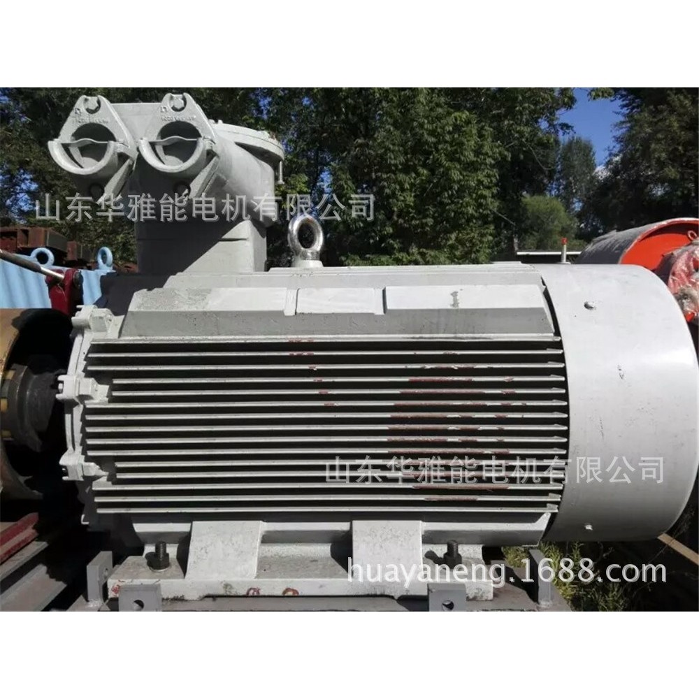 YZPE355M2-8-200电机铠装电缆进线YZP电机整机加工长填料涵深灰漆