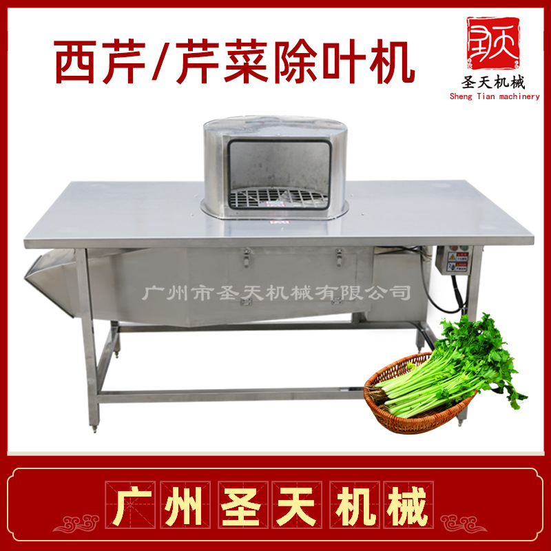 净菜厨房设备 芹菜西芹除叶去叶机 泥蒿茼蒿叶菜摘叶不伤料效率高