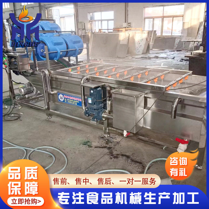 速冻蔬菜清洗机 不锈钢气泡冲浪喷淋洗菜机 全自动猪耳朵清洗机