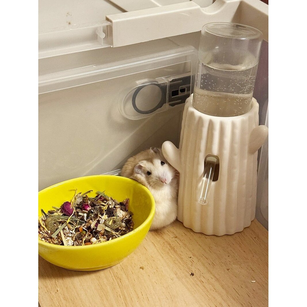 【陶瓷水樽】仓鼠喝水壶支架饮水器小宠专用刺猬用品喝水器支撑