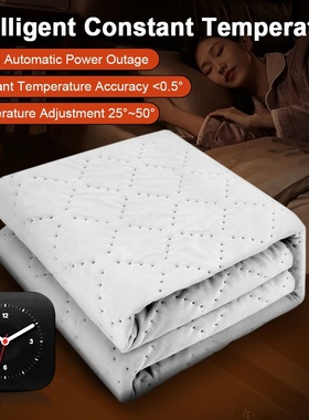 Car Electric Heated Blanket 12V Car Energy Saving Warm Blan