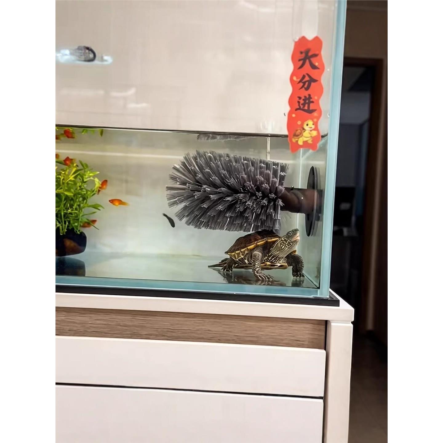 乌龟刷背刷刷背神器吸盘式洗碗刷洗澡蹭背刷子爬宠多功能清洁刷子