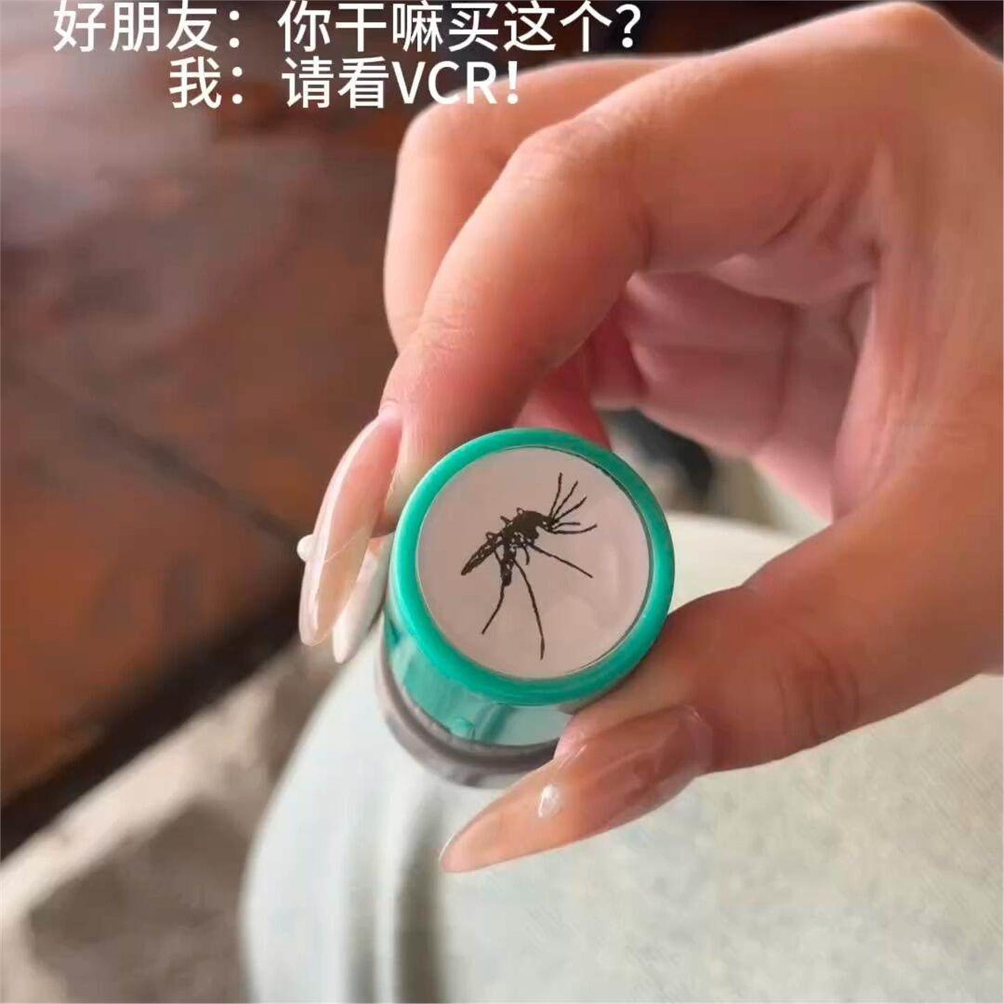 蚊子学生儿童抽象恶搞整蛊趣味搞怪真蚊子解压图章动物昆虫