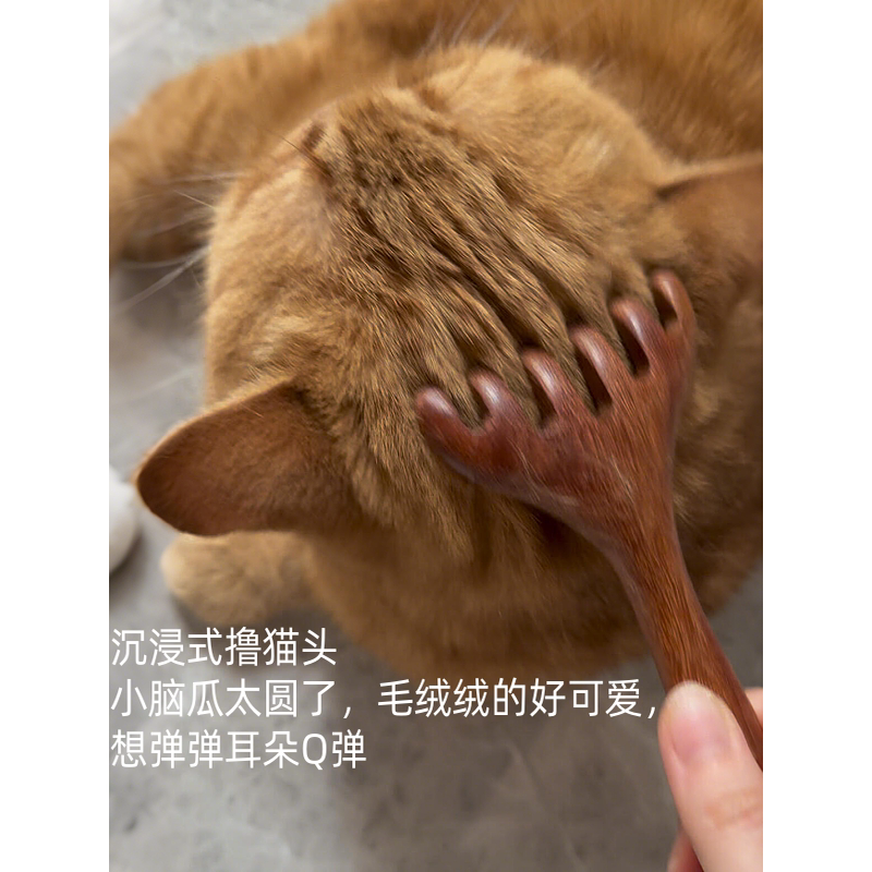 猫猫树脂痒痒挠撸猫器按摩梳排梳宠物专用新款按摩头互动型玩具