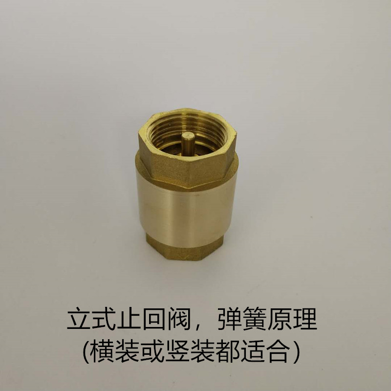 黄铜止回阀水管水表DN15/20/25单向阀4/6分1.2寸立式卧式逆止阀