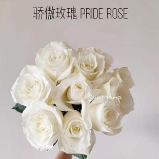 骄傲白色玫瑰云南鲜花直发母亲节花真花空运包邮花卉昆明斗南市场