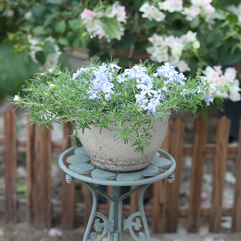 户外花园做旧铁艺圆桌花架庭院别墅阳台三件套绿萝创意花盆架桌子,鲜花速递/花卉仿真/绿植园艺,花架,淘宝优惠券,粉丝福利购,淘宝优惠卷