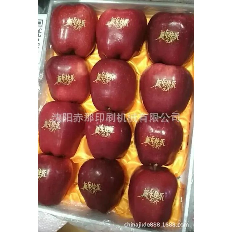 青海苹果印字机 橘子猕猴桃西梅水果上印字印刷机移印机