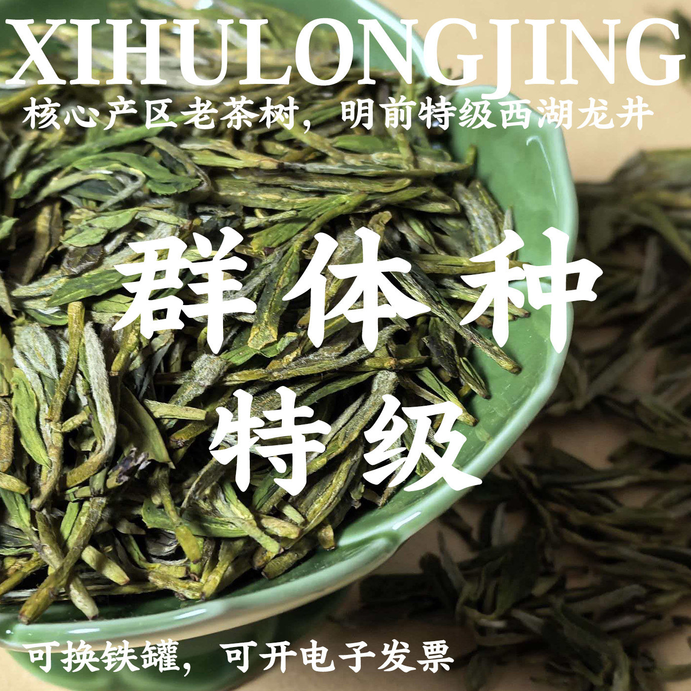 核心产区特级西湖龙井老茶树