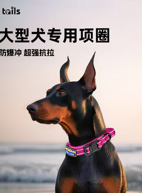 Fivetails狗狗项圈中大型犬项圈防挣脱防爆冲狗狗颈圈遛狗牵引绳