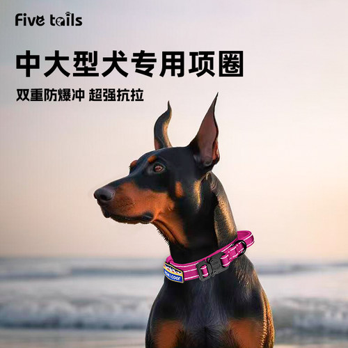 金毛德牧杜宾｜狗项圈双重防爆冲