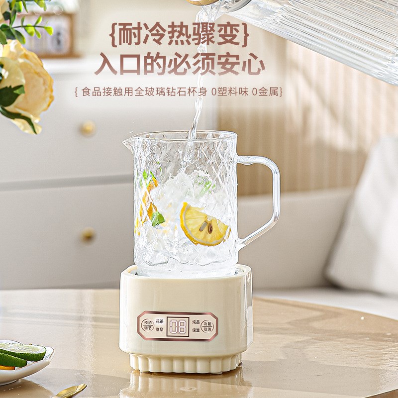 养生壶小型办公室多功能炖煮花茶壶慢炖迷你养身壶宿舍家用烧水壶