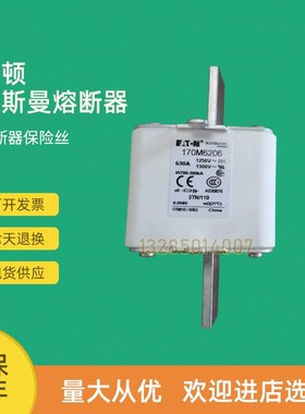 全新快速熔断器保险170M6299 v170M6301 170M6303 170M6308