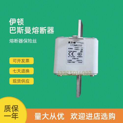 全新快速熔断器保险170M6299 v170M6301 170M6303 170M6308