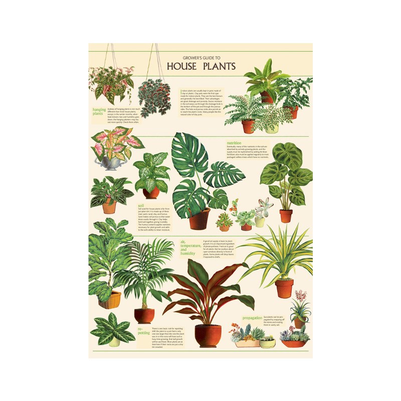 室内盆栽植物绿植竖款高清喷绘简约现代艺术油画布画芯装饰画图片
