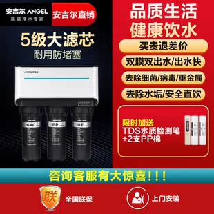 2375 安吉尔净水器家用直饮净水机RO反渗透纯水机去垢直饮5芯T1C