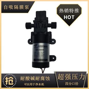 家用小水泵自吸抽水泵加压隔膜泵24V自来水增压泵高压大流量喷雾