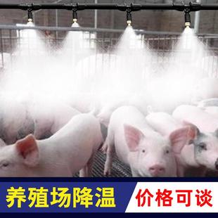 雾化微喷喷淋系统自动浇水器猪场喷灌 养殖场喷雾降温喷头专用款