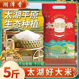 湖泽香正宗太湖香米珍珠米2025年新米小袋学生宿舍出租屋家庭5斤