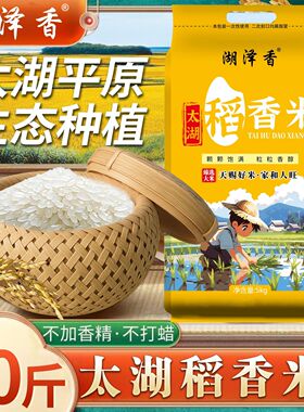 湖泽香太湖稻香米2025新米10斤南方米晚稻米5kg家庭酒店食堂批发