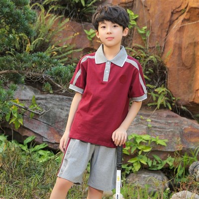 东莞市凤岗镇小学生统一校服棉短袖T恤短裤夏季套装凤岗小学校服