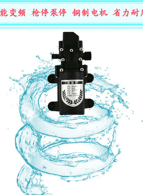 12v便携式刷车工具水枪220v洗车高压家用车载洗车器多功能洗车机