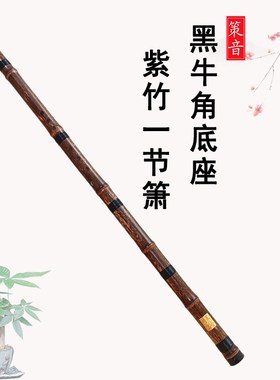 八孔洞箫国风乐器入门古风紫竹仿古初学演奏型古典三节单节素白铜