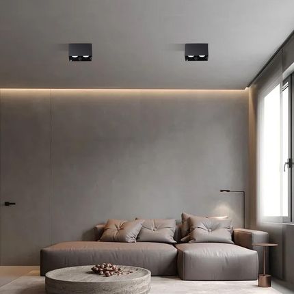 明装射灯双头led无主灯照明客厅灯卧室方形聚光防眩吸顶式斗胆灯