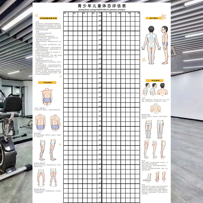 人体姿势体态评估表成人儿童身体评估图墙贴青少年模特培训体测表