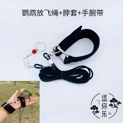 鹦鹉放飞绳超轻牵引弹力绳遛鸟绳