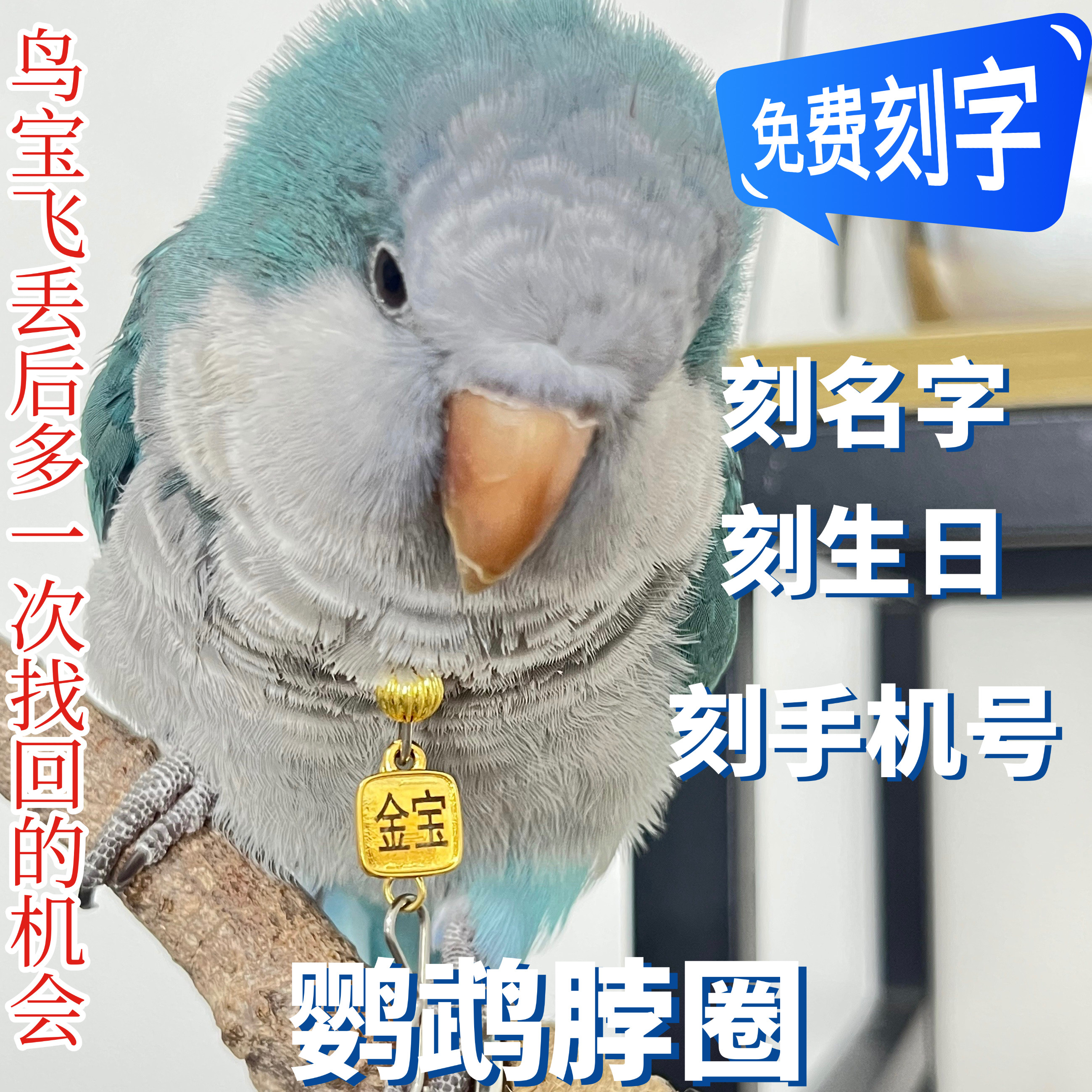 定制和尚鹦鹉脖圈栓鸟遛鸟链子放飞脖套玄凤虎皮牡丹金太阳项链