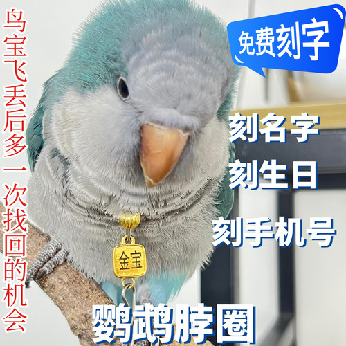 定制和尚鹦鹉脖圈栓鸟遛鸟链子放飞脖套玄凤虎皮牡丹金太阳项链