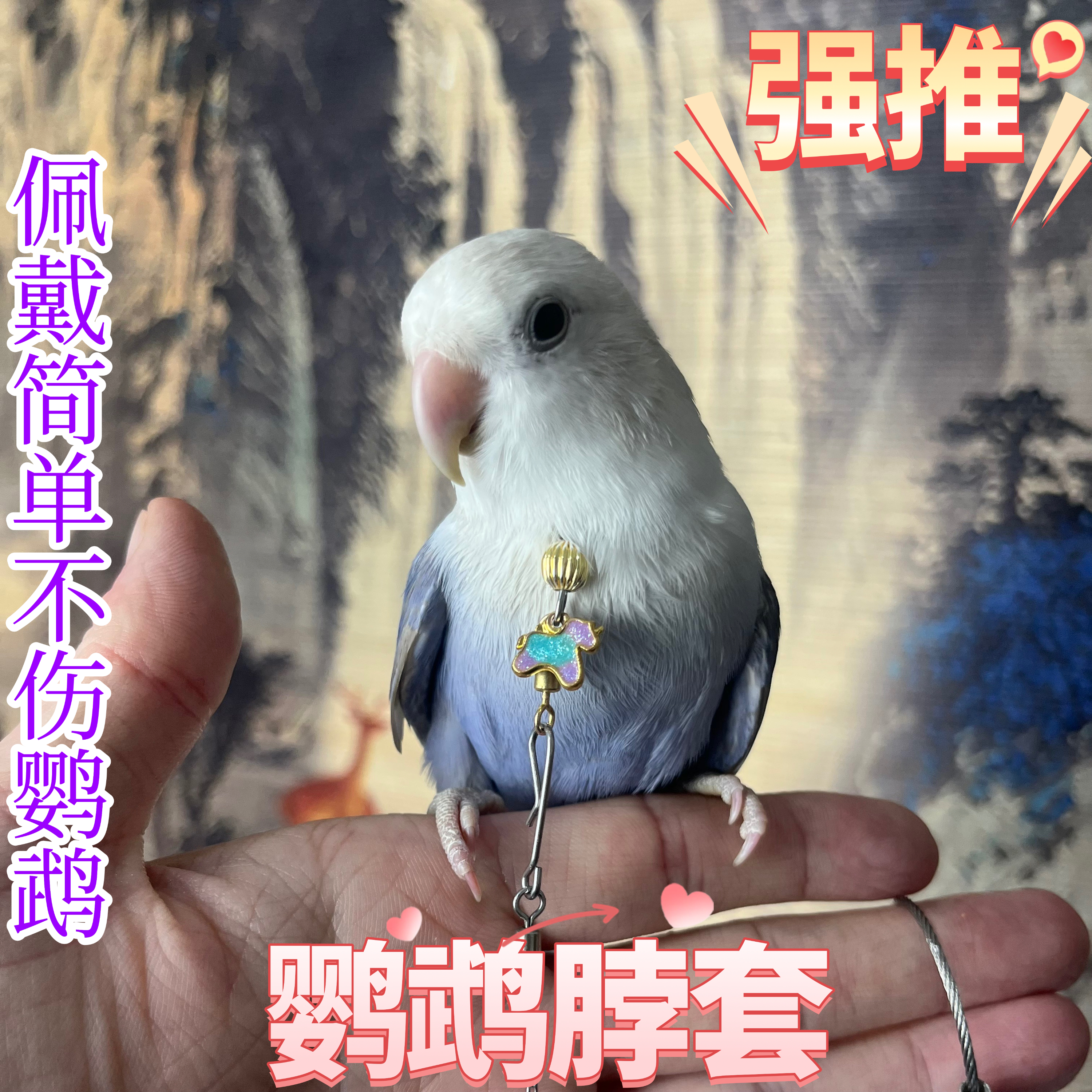 牡丹鹦鹉脖套项圈小太阳和尚金太阳吸蜜牡丹放飞绳牵引脖圈链子