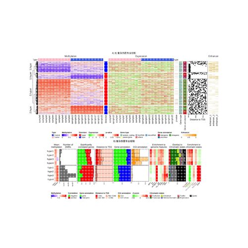 R数据分析可视化森林图meta网状分析逻辑回归亚组生存分析ROC曲线
