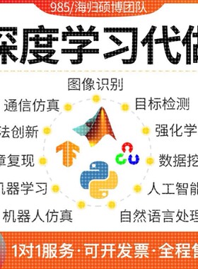 python深度学习nlp代做matlab仿真opencv代做图像处理神经网络