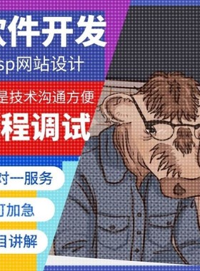 计算机软件开发jsp软件JAVA网站搭建Web项目设计VUE前端开发JAVA