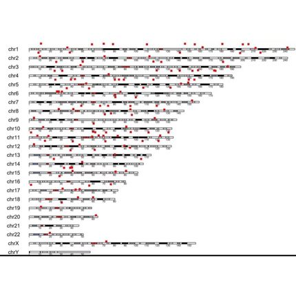 非中介生信分析单细胞转录组细胞通讯转录因子拟时均可python爬虫