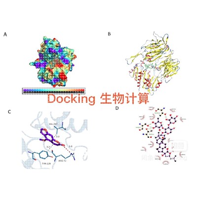 表面等离子共振SPR  MST ITC BLI亲和力实验，分子动力学分子对接