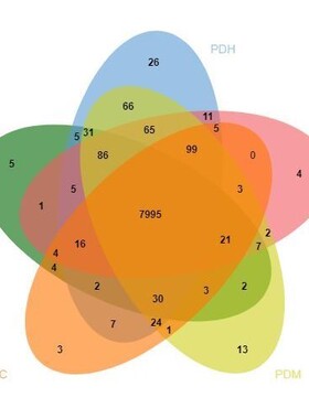 生信分析辅导GBD/NHANES/CHARLS数据挖掘医学sci发文