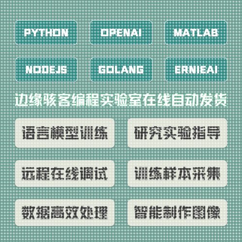 MATLAB模型训练服务PYTHON深度学习智能制图图像处理在线远程调试