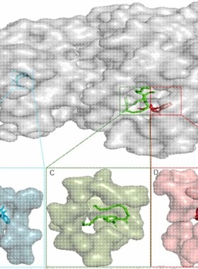 分子动力学模拟DFT MS poster studio 分子对接带教程文件出图