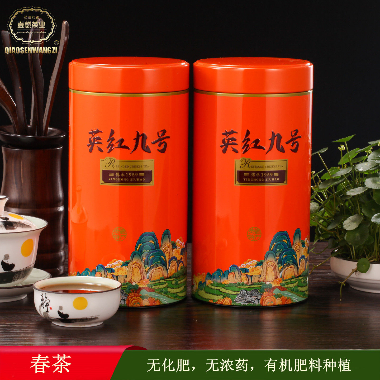 英红九号英德红茶春茶