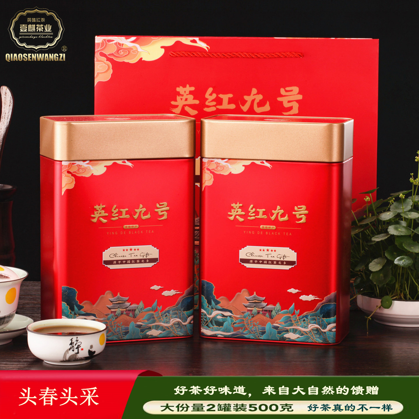 英德红茶英红九号头春头采